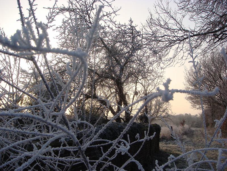 Wychcroft 2009 006.jpg